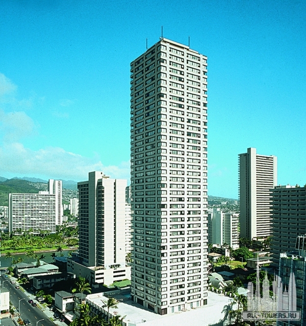 Ohana Maile Sky Court