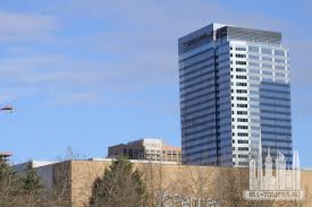 Без названия