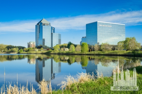 Без названия (1)