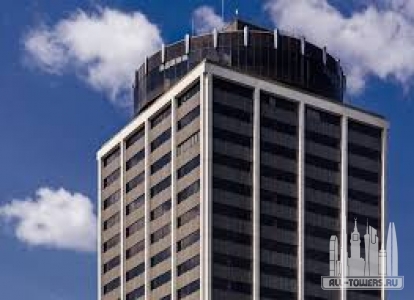 Без названия (3)