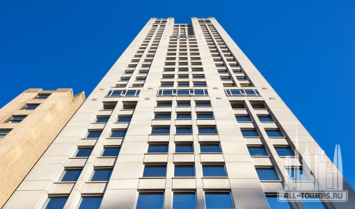 Без названия