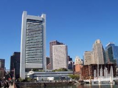 Без названия (1)