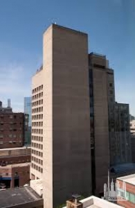 Без названия (3)