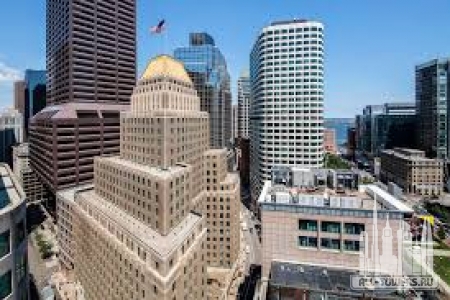 Без названия (1)