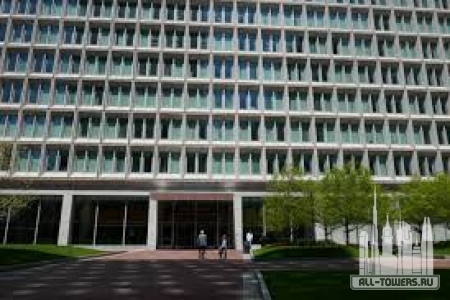 Без названия