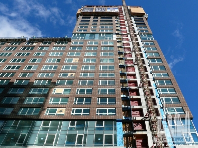 the-clarendon_butler-v-adams4