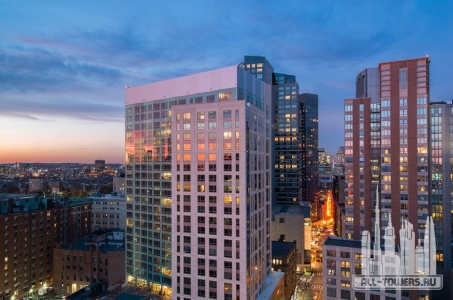 Без названия