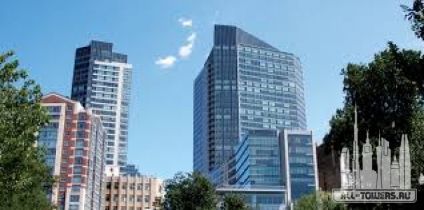 Без названия