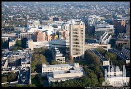 Без названия (1)