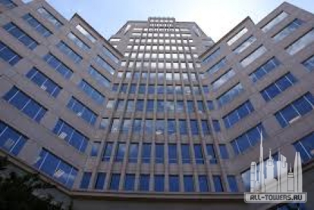 Без названия