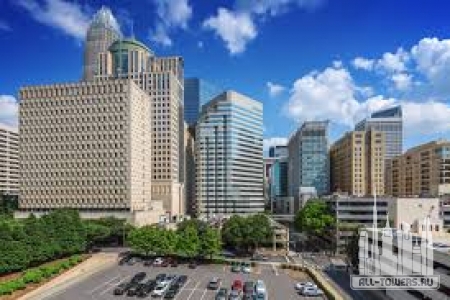 Без названия