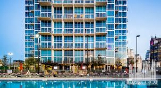 Без названия