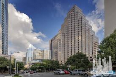 Без названия