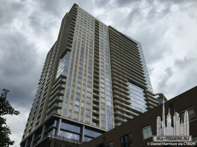 the-bowie_daniel-harrison4