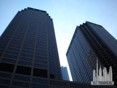 Без названия