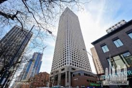 Без названия