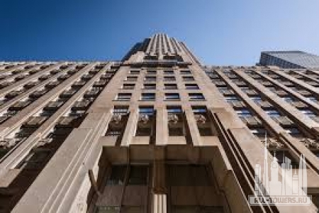 Без названия