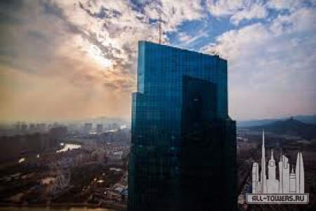 Без названия (1)