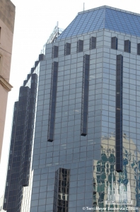 one-nashville-place_terri-meyer-boake1