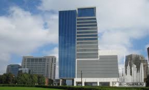 Без названия