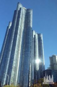 Без названия