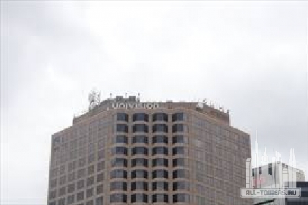 Без названия