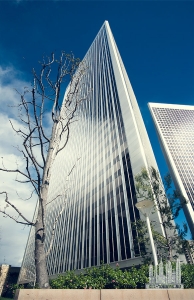 a91c308005009.5602a89f55dd6