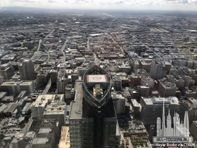 deloitte_terri-meyer-boake8