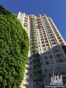 the-wilshire_tom-finnegan1