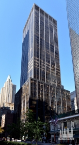 3rdave800namplywood-1b