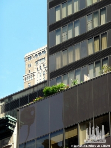 fifth-avenue-tower_nathaniel-lindsey4