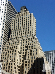 dailycommerce_overall1_nl