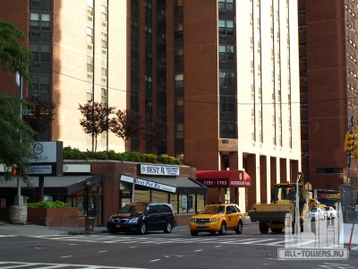 knickerbocker_base_mg