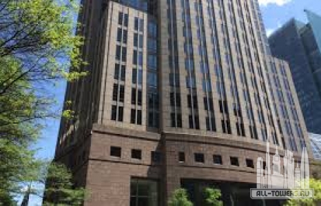 Без названия