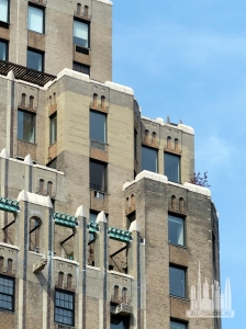 one5thave_closeup1_nl