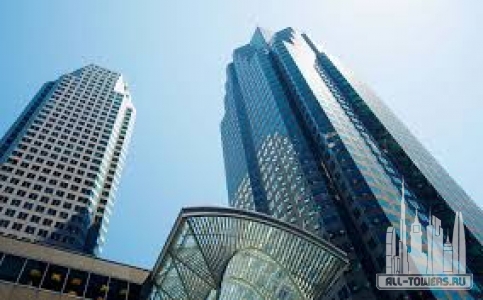 Без названия