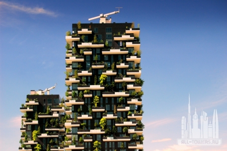 boscoverticalee_closeup_sb