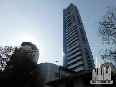 Без названия