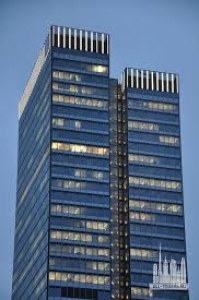 Без названия (1)