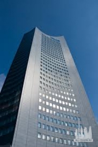 Без названия