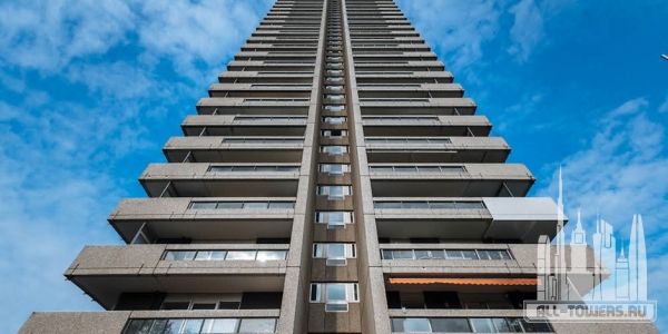 71-106385146--null--11-10-2016-18-30-12-402-