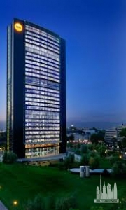 Без названия