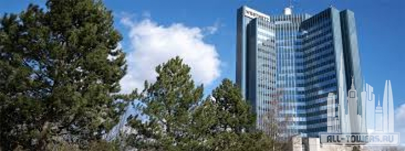 Без названия (1)