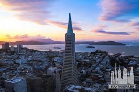 Без названия