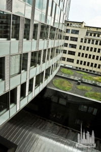 gsw_ext-massing_(c)janiceninan