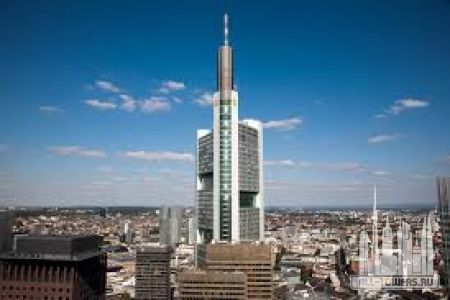 Без названия (1)