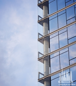 eight-o-five_dave-burk10