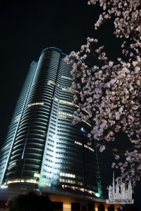 4489224490_96d60b24ae_o1