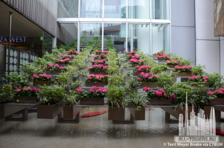 the-hilton-plaza-west_terri-meyer-boake6