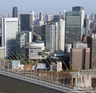 herbis-ent-tower_terri-meyer-boake1